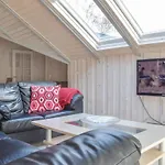 Birkealle Ii Tatil Evi Ringkøbing