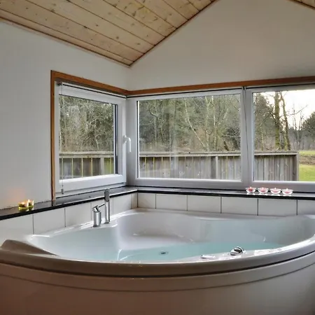 Birkealle Ringkobing Ii Holiday home