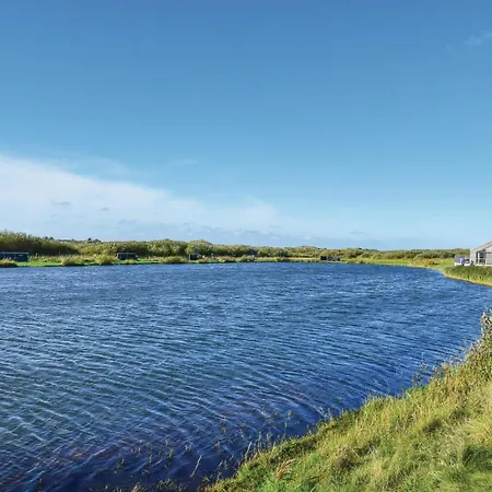 Birkealle Ringkobing Ii Holiday home *